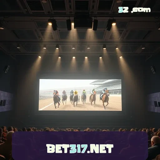 BET317.NET Programa de Fidelidade